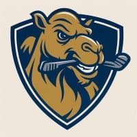 Cairo Nomads Logo